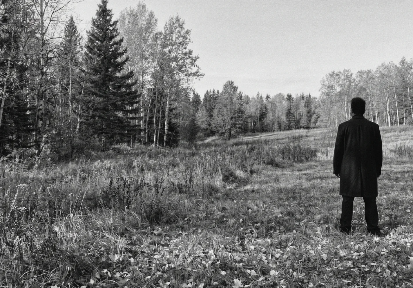 Hussen Othman seen from behind, looking out over a field