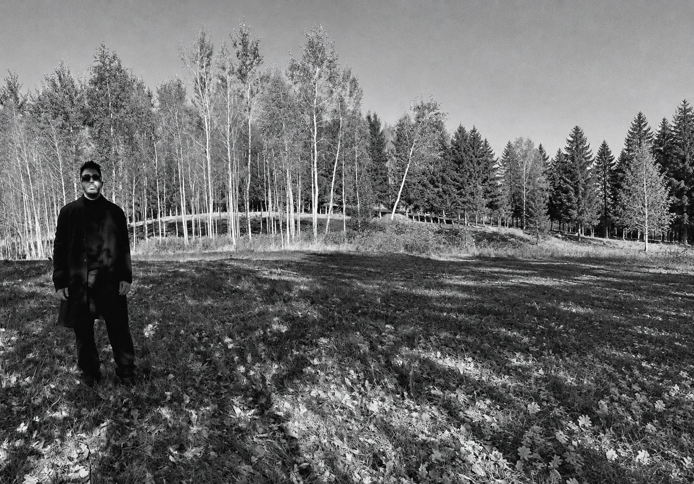 Hussen Othman standing among birch trees